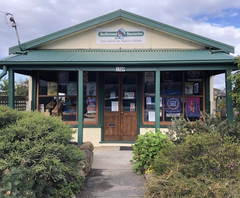 Redbreast Plants Margate Shop